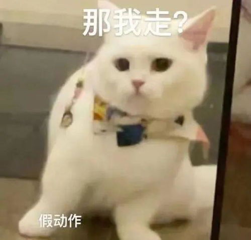 那些女孩子永远不懂的梗是哪里冒出来的,是年轻人的非主流吗