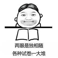 期末考试季一人我饮酒醉表情包横空出世