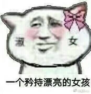 为什么我们喜欢猪头少年