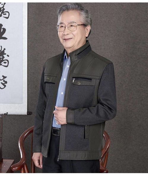 老年人秋装男7080岁爸爸外套春秋夹克中老年男装爷爷上衣茄克衫