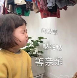 阿迪达斯输官司贝壳头只要....200元
