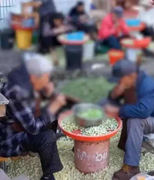 口水蚕豆原来真的是大妈用嘴剥的真香......