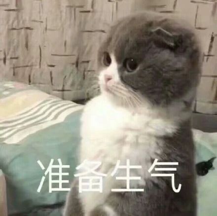 搞笑表情包图片沙雕不是我的错