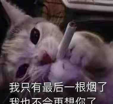 专属小公举的冬季朋友圈文案