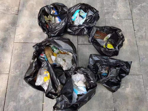 濮阳市第十中学十分美好志愿者服务队开展我为社区做贡献党员志愿者活动