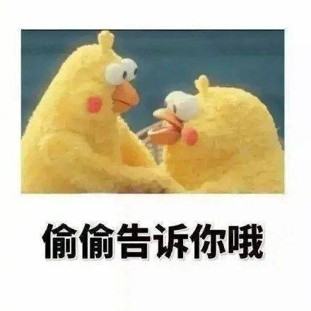 真实这是你的写照吗快来看
