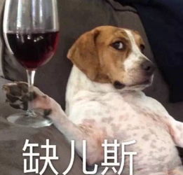 活动台风过后,该来场刺激的室外真人cs减肥啦已报名30人