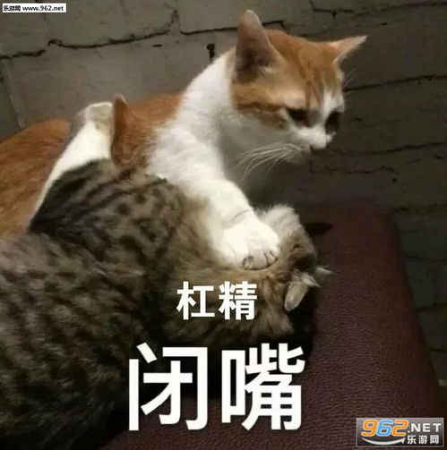 好无聊啊想吃小男孩图片嘴臭选手上线了表情包下载乐游网游戏下载