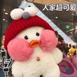 求和这张图相配的情侣图片