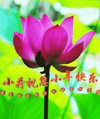 今日小年,祝福送上附最美小年动态表情图,太漂亮了