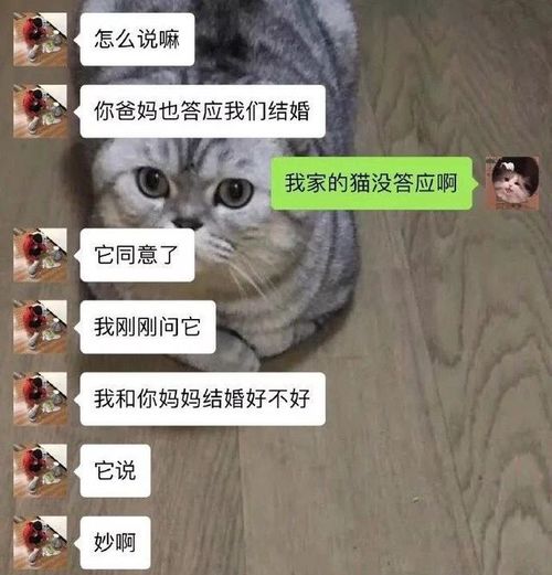 有没有什么超级搞笑的图片分享一下