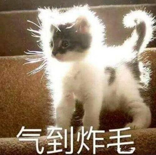 欢笑集锦我老公家教严,不能随便接别的女人的电话