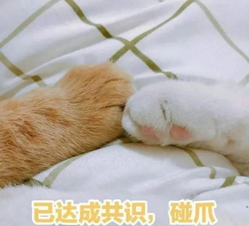 压岁钱怎么花高财商学子来出招