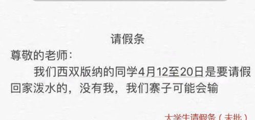 望爱卿批准,初中生文言文请假条火了,语文老师看后爽快批假