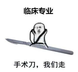 医学表情包