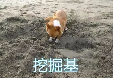 小姐姐电动马达臀需要了解一下吗