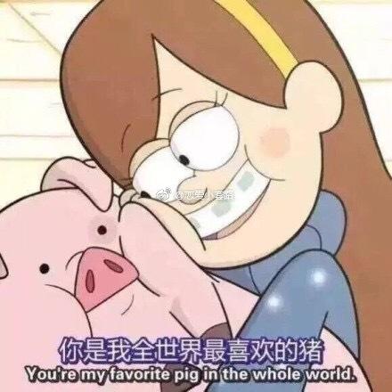 亲亲我的爱人表情包猪猪