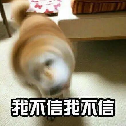 宝鸡一诈骗犯罪团伙被端19人被抓宝光路居民楼等3处落脚点被捣毁