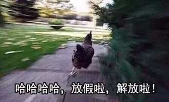 没有这套鸡年专属表情包你拿什么跟别人斗图