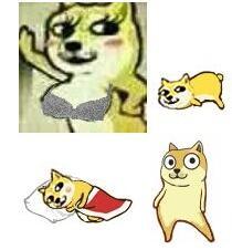 doge表情包信息,使用方法,免费下载