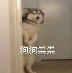 社恐福音被吐槽太热情后海底捞餐桌上多了这牌子