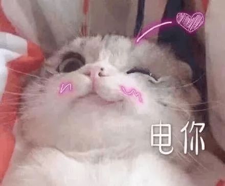 英雄老爸粽江湖,这次过节我要与粽不同