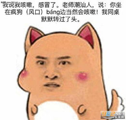 给老师的表情包头像