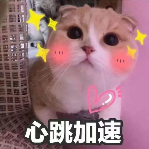 来看看他们是怎样变成追星赢家的