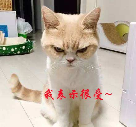 巴黎美女初次发布运动照后,迅速成为众多健友心目中女神