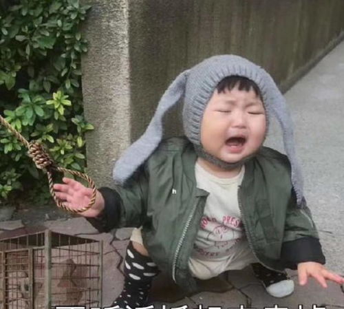 男友不听话怎么办扔这几个表情包给他,让他分分钟变小奶狗