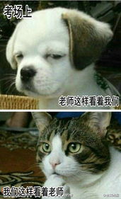 恶意深深