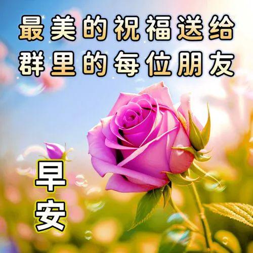 2024年8月7日早安祝福图片