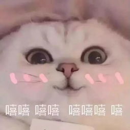 小埋表情包视频头像图片