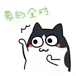 中考数学有哪些高效的复习策略