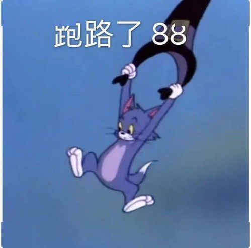 热门搞笑表情包我劝你,见好就收,见好就收