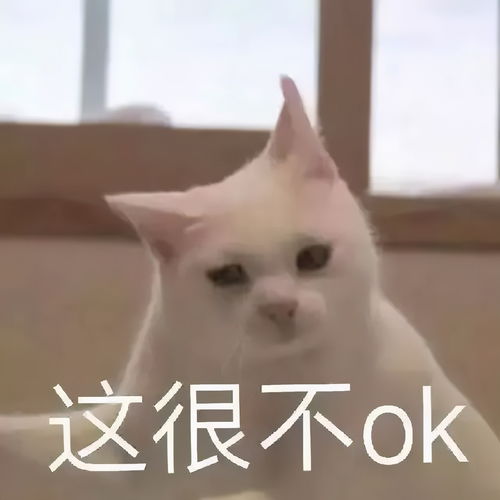 罗翔励志表情包艾赫