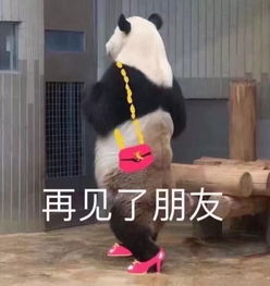 嗨,这么巧,这个十一你也在家冲浪啊