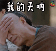 锤爷大料