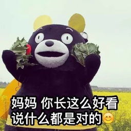 明天,带上妈妈,就在宁波约个会吧最全游玩攻略都给你准备好了