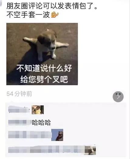 朋友圈评论可以斗图了第一届表情包大赛已开战,你参加了没有