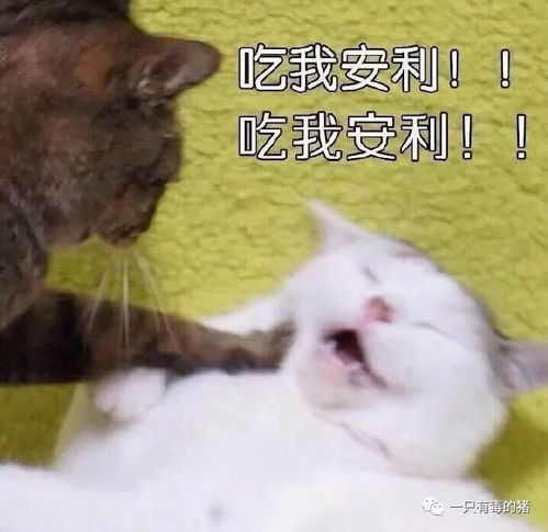 想问女艺人你们的铁刘海是怎么扛过十级大风的