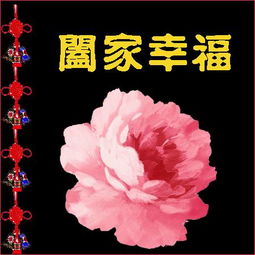 今日除夕问候表情拜年表情祝福表情收藏复制送给每一个朋友过年好