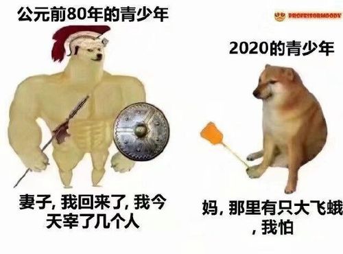 兄贵表情包到哪里找doge