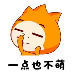 三岁视频直播全集三岁资料大全yy官方