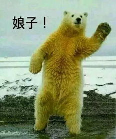 猴年马月到了,你的承诺呢