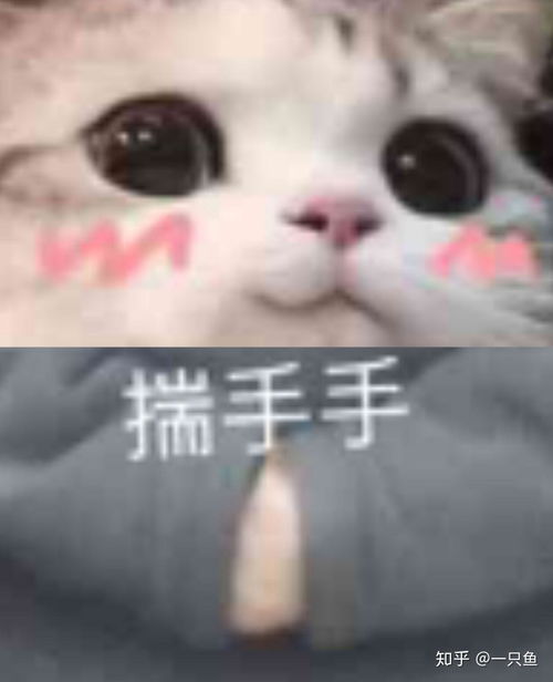 武汉商学院的宿舍条件如何校区内有哪些生活设施