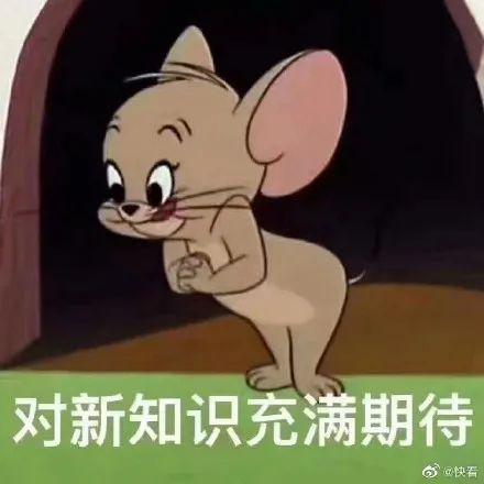 睡觉吧狗命重要表情包猫和老鼠