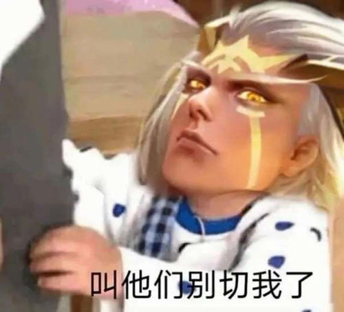 王者荣耀排位里最怕队友选的英雄盘点进来吐槽第一名毫无疑问