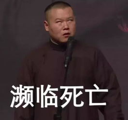 男明星的生活太让人羡慕了