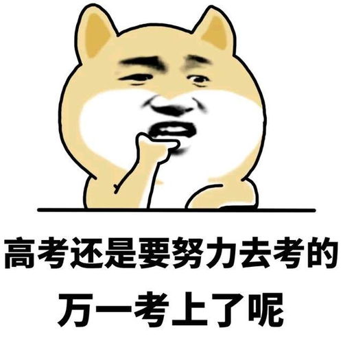 关于高考的表情包高清无水印版